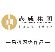 深圳企业网站制作公司易捷网络企业网站制作案例志威投资集团